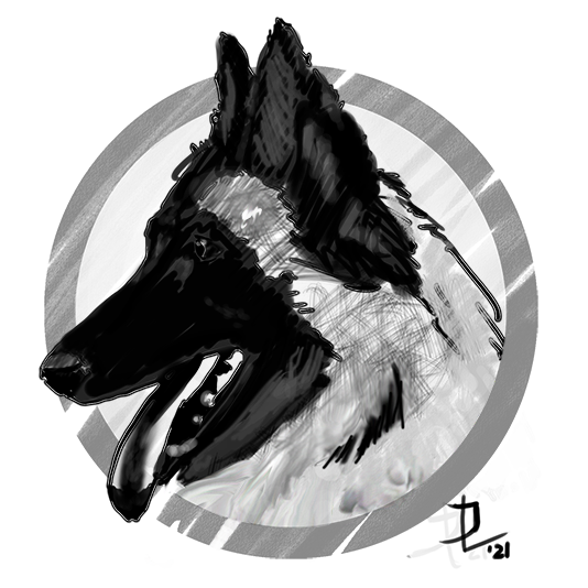 Dessin stylis&eacute; de Ania